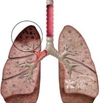 � 247 �� �������� ������� �� ����������� � ���