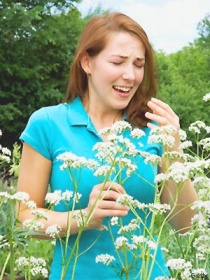 ��������� ���� ������ �������� �������