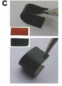 �������� ��������� �� ��������