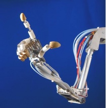 �����-���� �������� ����������