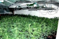 ����������� ����������� ���������� ������������?