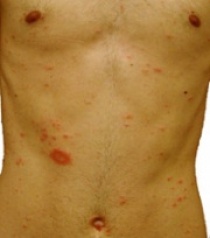 ��������� � ����������, � �� ����������� �����