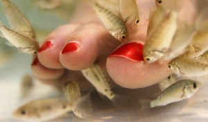 ���� ����� ����� �� ������ �� ������