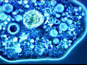 ������� �� ��������� ����, ����� �� ������� �� ���