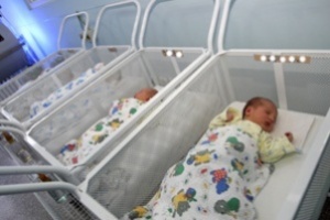 50 ������ � ����������� ������� �� ������ � ���������