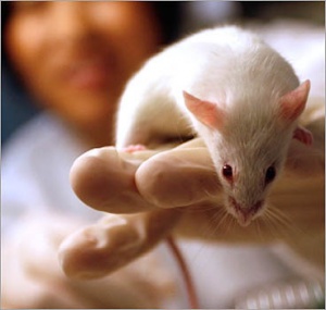 ��������� �� ����� �� �������������� � �������