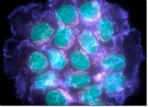 �������� ���� ��� ������ � �������� �����������