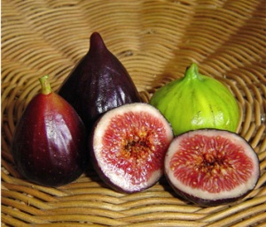 7 ����������� �� ����������