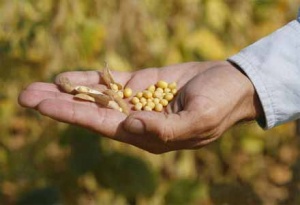 ���������� ����� ��������-������ �����������