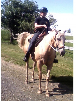 ��������� ����� ���� �� ������ � ���������� ��������