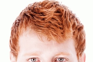 �������� ����� �� ������ �� ���� ������