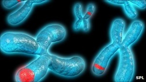 ���� ��������� ������ ��������� �����������