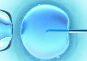 �� ����������� �������� �� ������ ��-������ ������