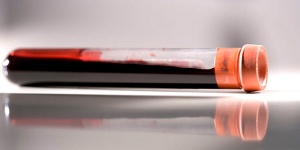 ������� ���� �� ������������ � ������?