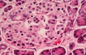 ��� ����� �� ������� �� ��� �� ���������