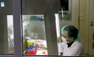 ���� ��� �������� ������ �� ���������� � 10 ������