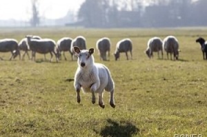 ���� �������� �� ���� ��� ������