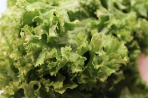 �������� �� ���� ������ ������ ������