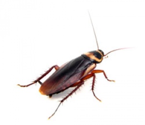 �������� �������� �� ����� �� ����������