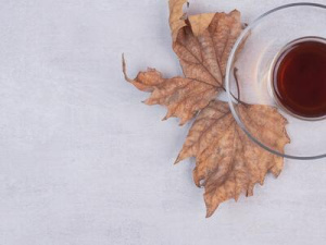 ������ ����� ����� �������������