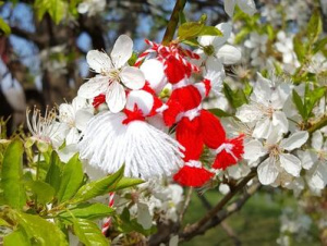 ������� ���� �����! ��� ����� �� ���������