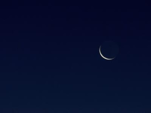 ��� ������� ���� �� ����� �� 20 ����?