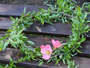 �������� �! ��� ����� �� �������� � ���������